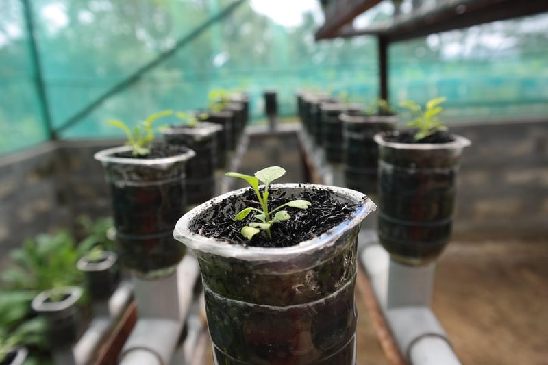 Vertical Hydroponics